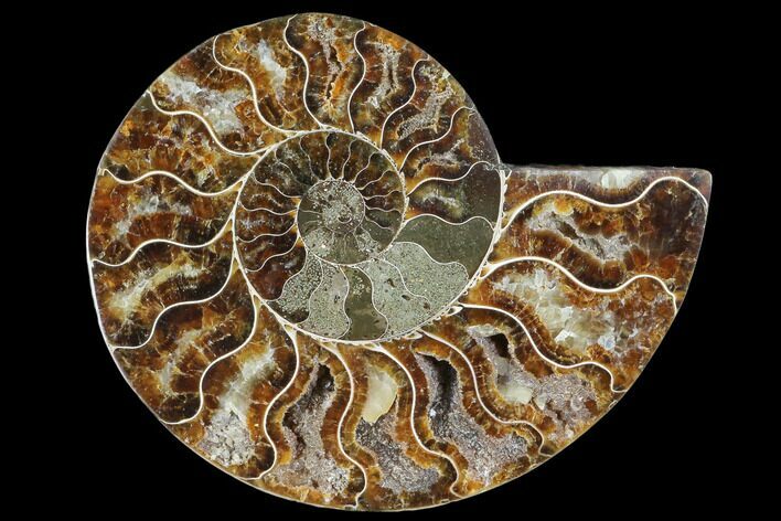 Agatized Ammonite Fossil (Half) - Madagascar #103094